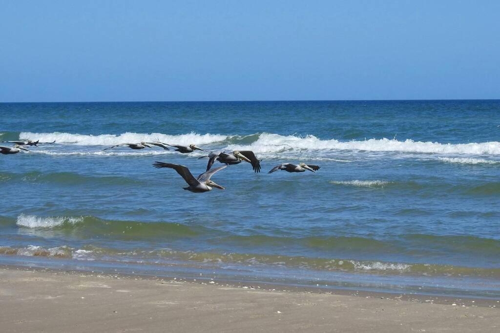 Barefoot Bungalow - Pet Friendly- 2 Bdrm Townhome Corpus Christi Buitenkant foto